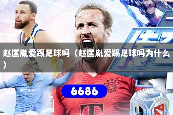 赵匡胤爱踢足球吗（赵匡胤爱踢足球吗为什么）